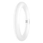 Osram Tubo LED T9 Circolare (EM/Mains) 11W 1320lm - 840 Bianco Freddo | Sostitutiva 22W