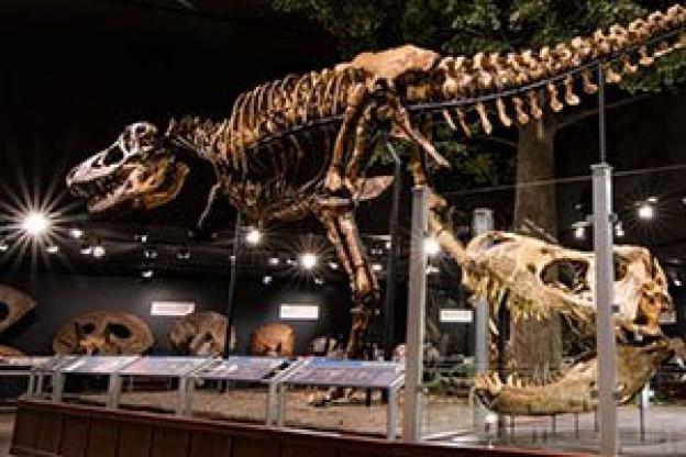 Illuminazione a LED per musei